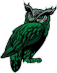 Ogden International Owls Logo